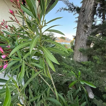 L'ile D'or Dupleix Apartmán Saint-Raphaël